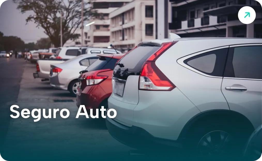 Seguro Auto