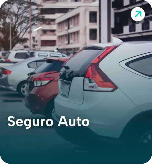 Seguro Auto